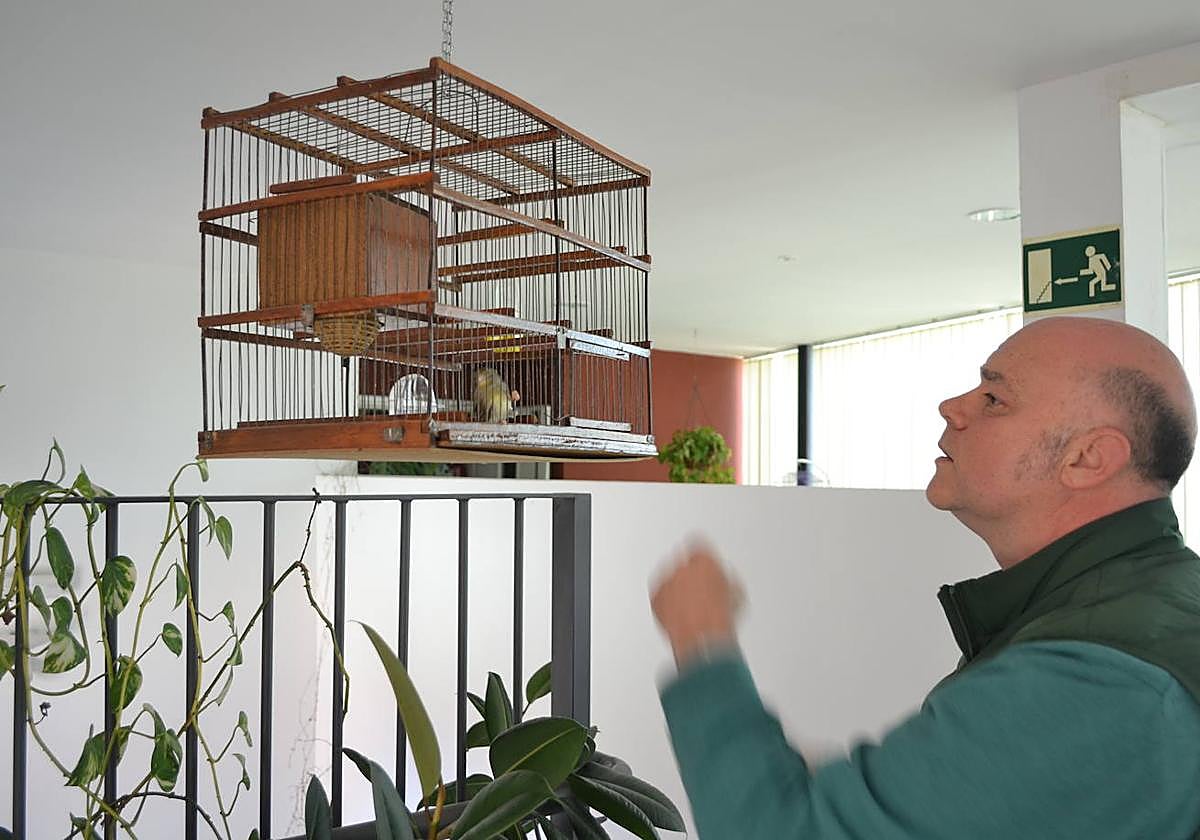 Fernando Martínez observa uno de los canarios.