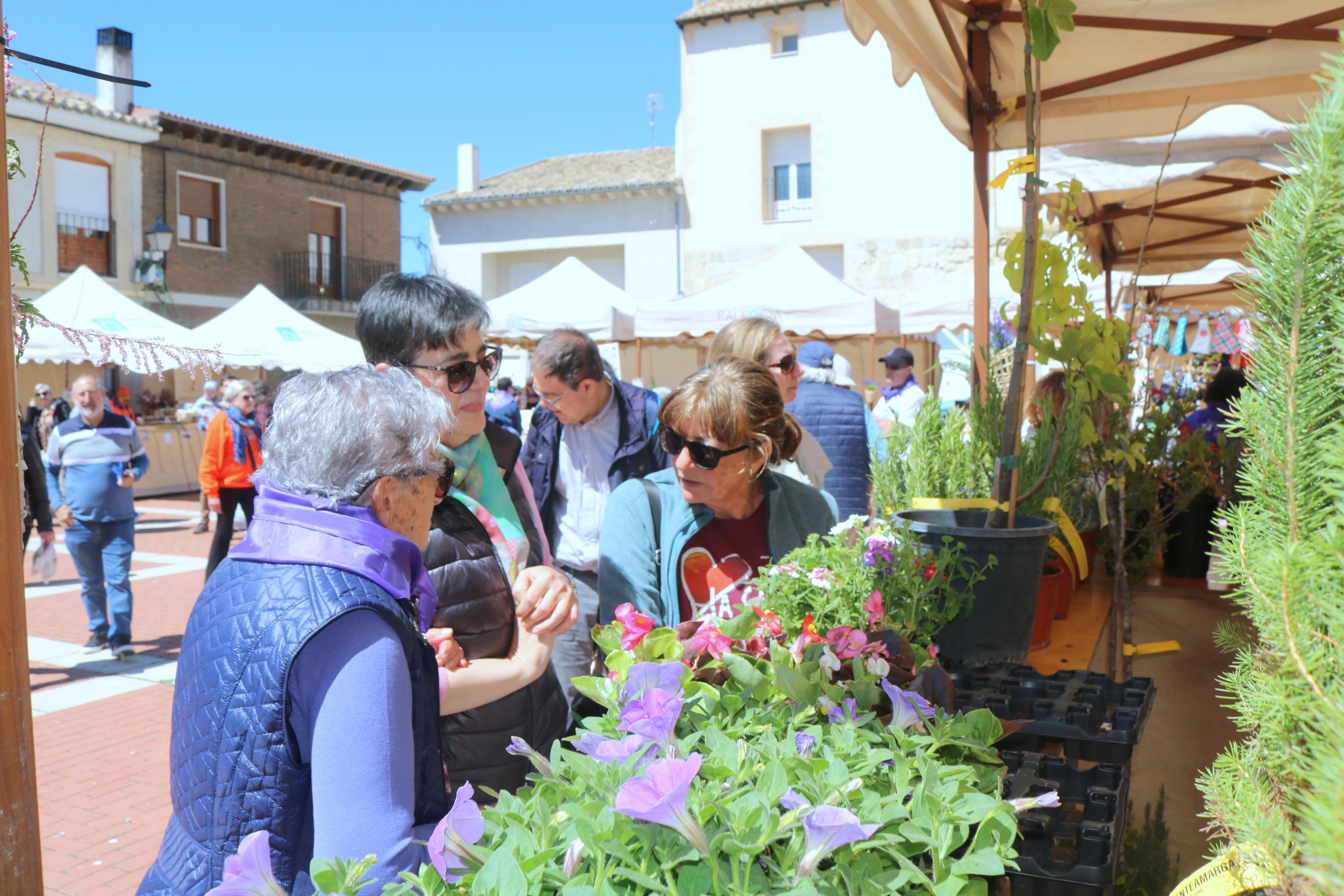 IV Feria de Exaltación de las Lilas en Villaviudas