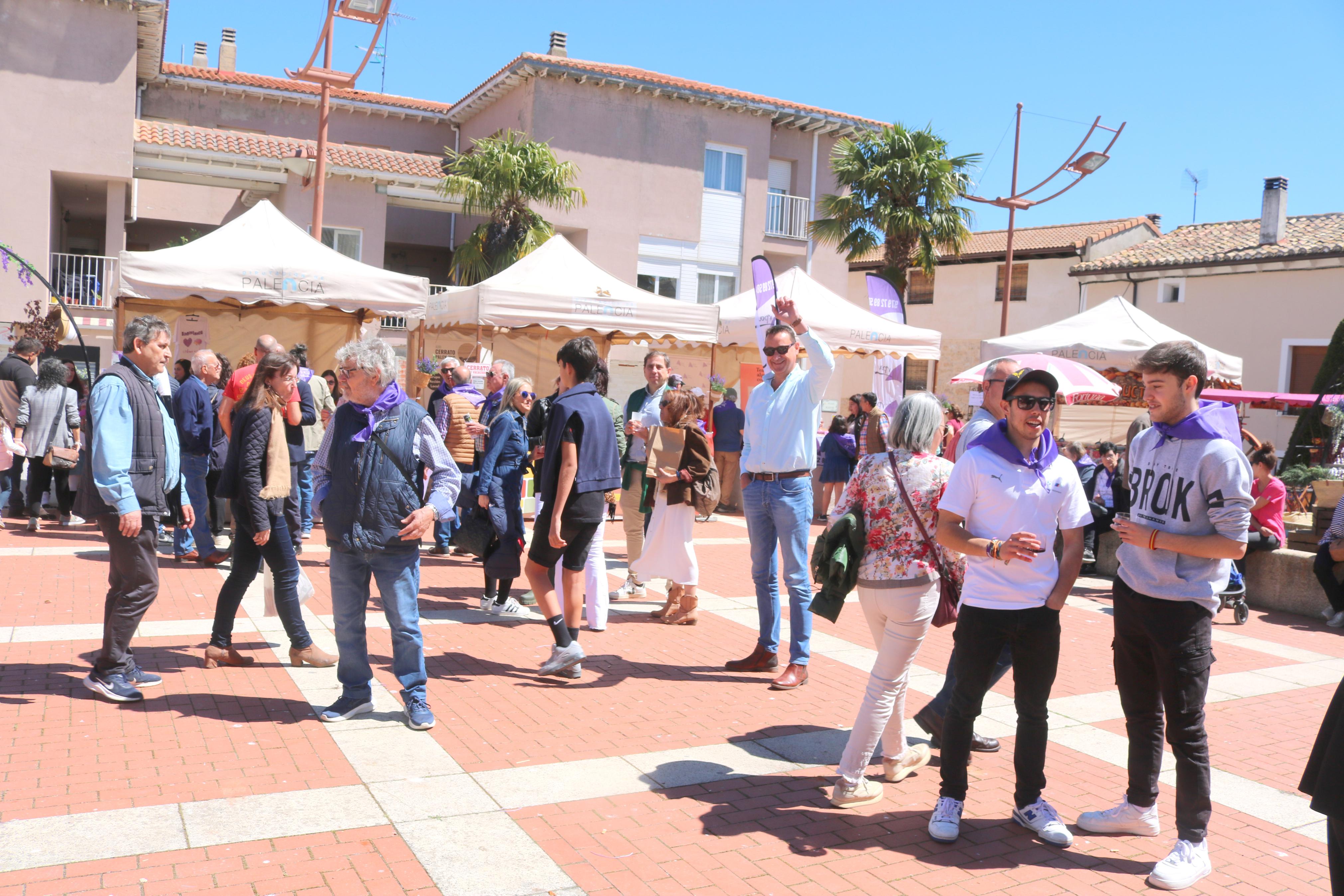 IV Feria de Exaltación de las Lilas en Villaviudas