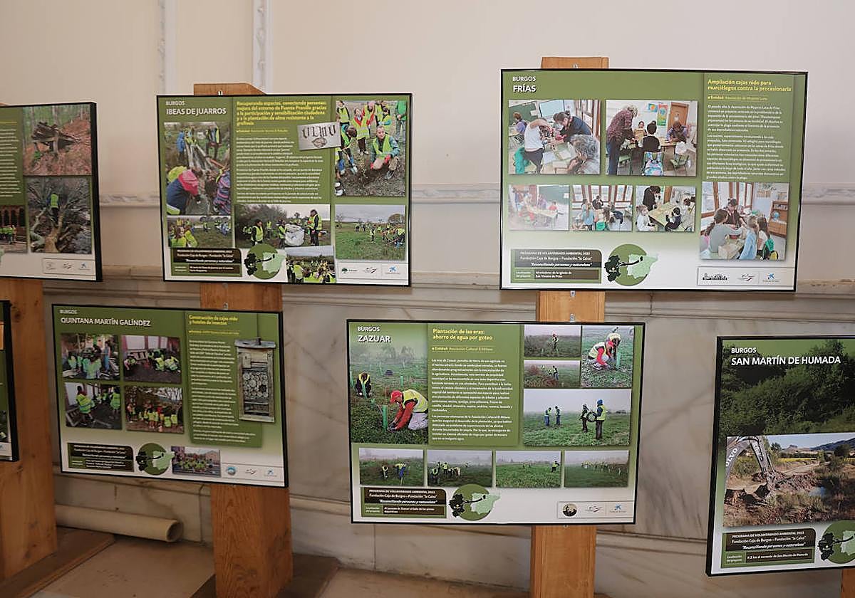 Exposición sobre voluntariado ambiental que alberga el vestíbulo de la Diputación hasta el 3 de mayo.
