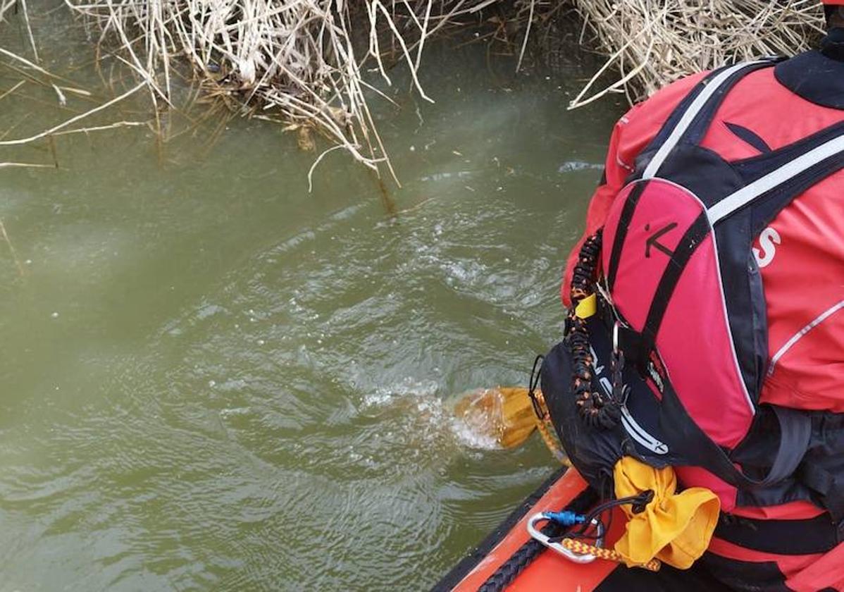 Los bomberos peinan este jueves las orillas del río Carrión.