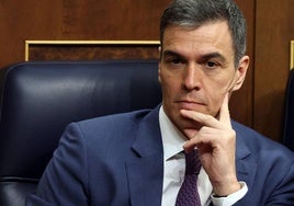 Pedro Sánchez, esta semana en el Congreso.