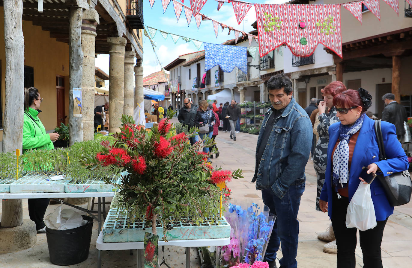 Mercado de la Flor de Ampudia