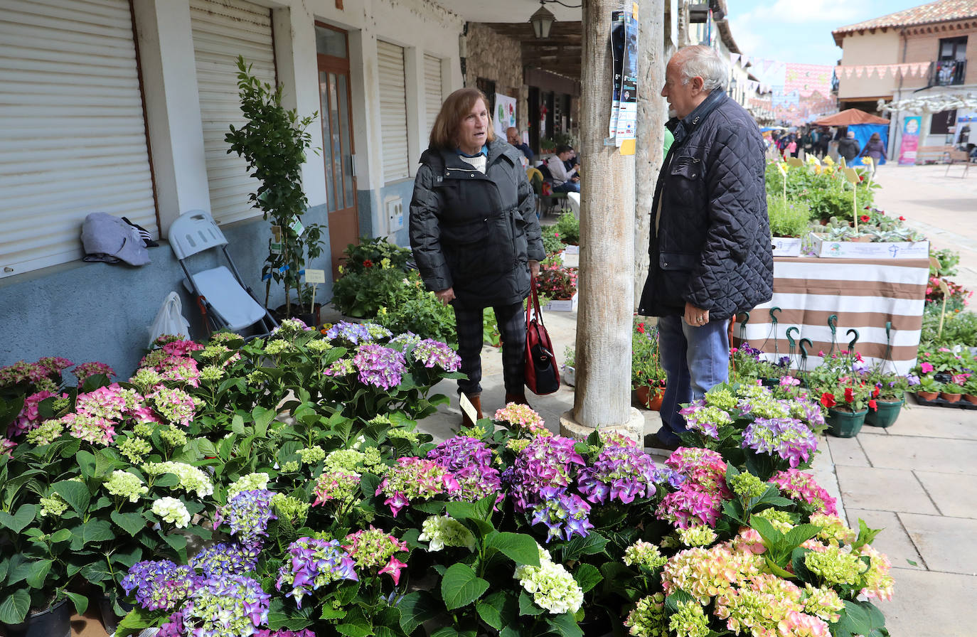 Mercado de la Flor de Ampudia