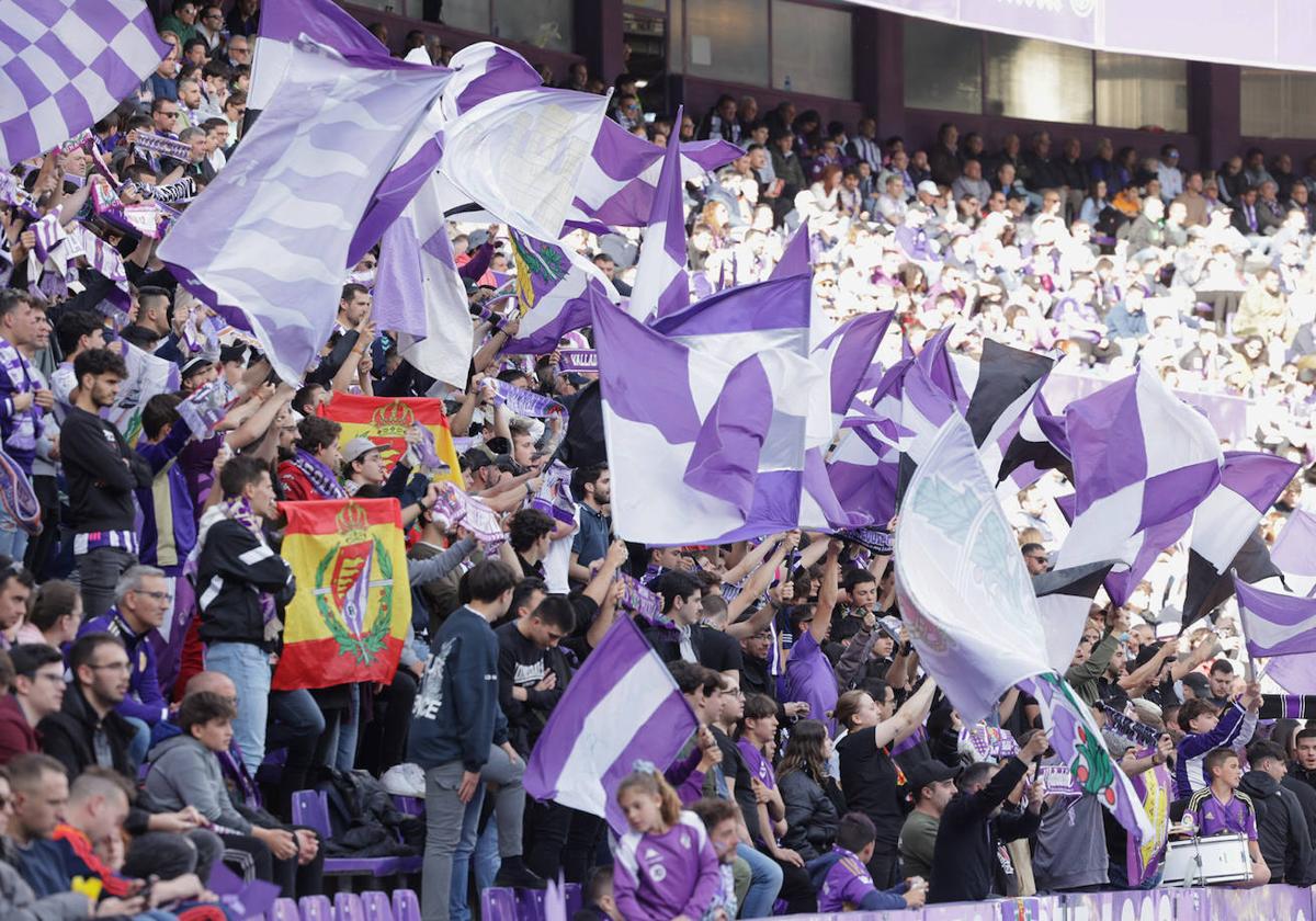 Banderas blanquivioletas en la grada de Zorrilla.