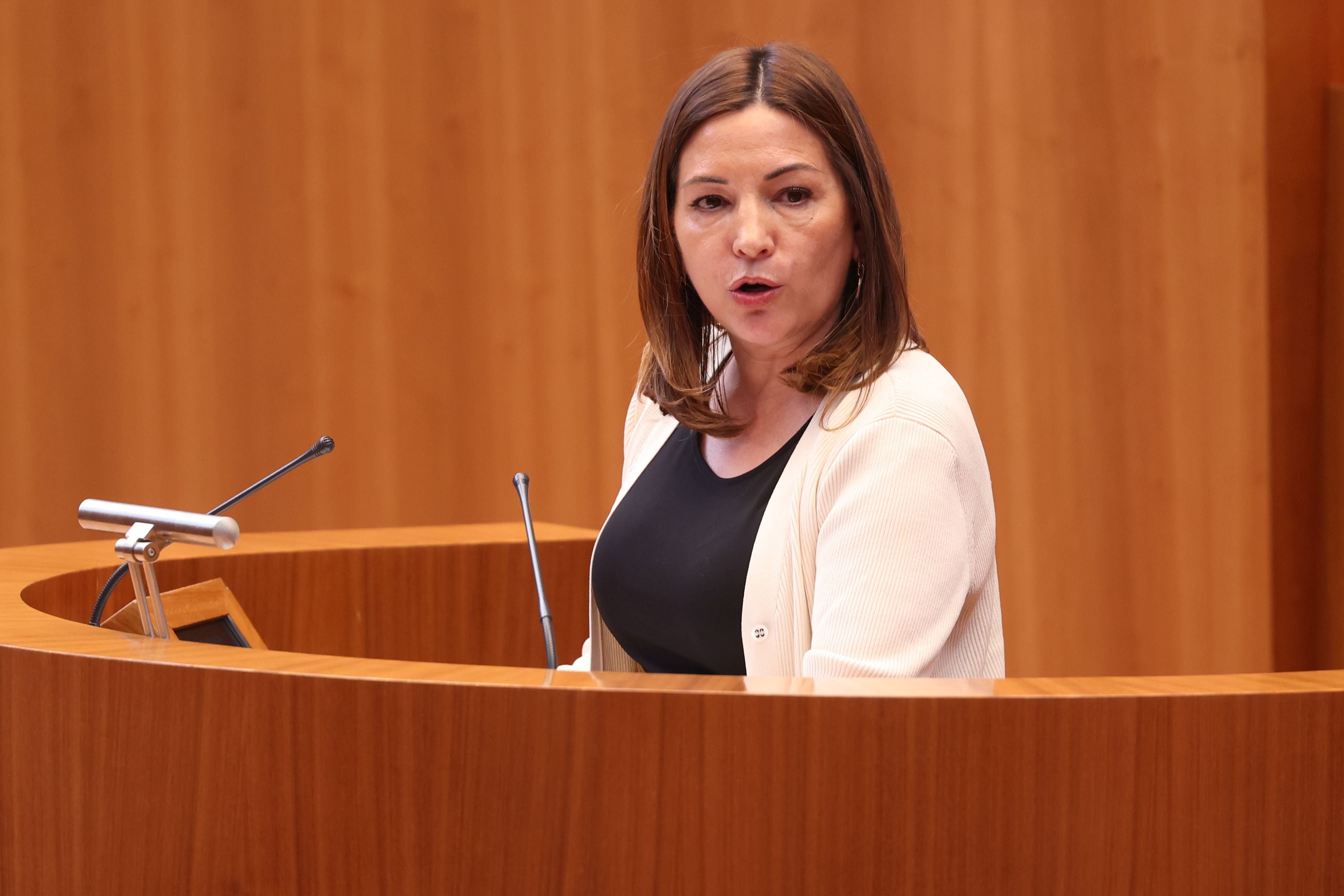 Rosa Esteban (PP), durante el debate de enmiendas con el PSOE.