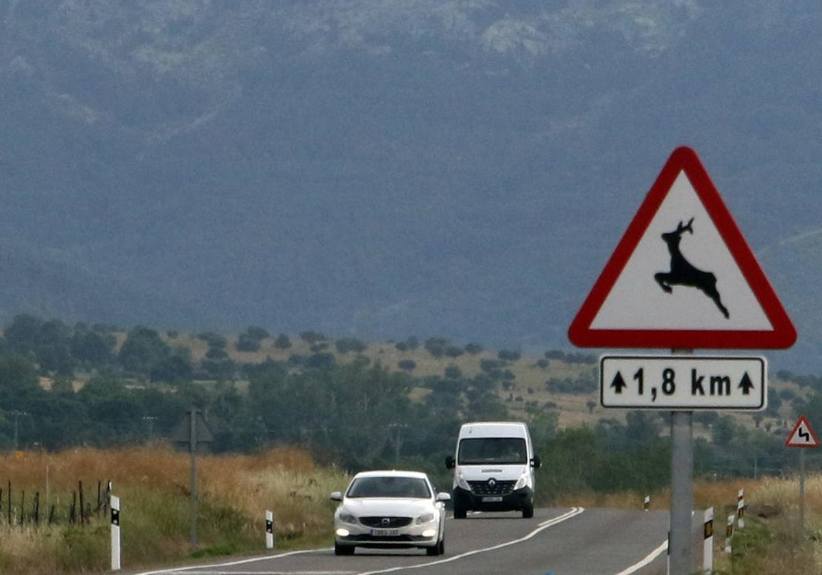 Señalización de peligro por animales en carretera.