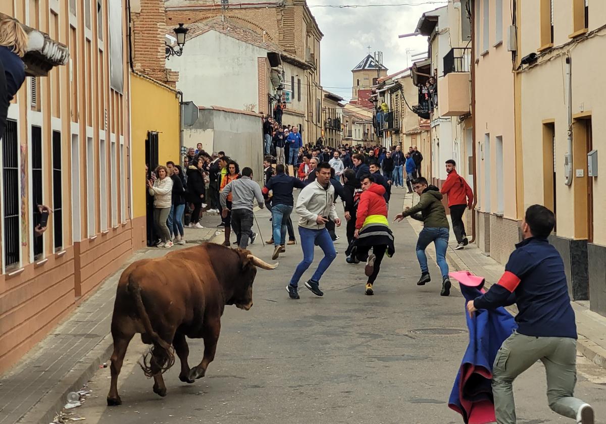 Una imagen del encierro en Mayorga.