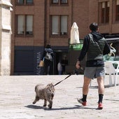 Valladolid afronta un veranillo de cara a las fiestas de San Pedro Regalado