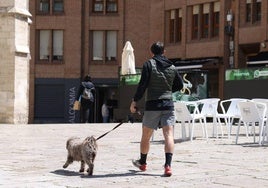 Un hombre pasea a su mascota en el entorno de La Antigua.