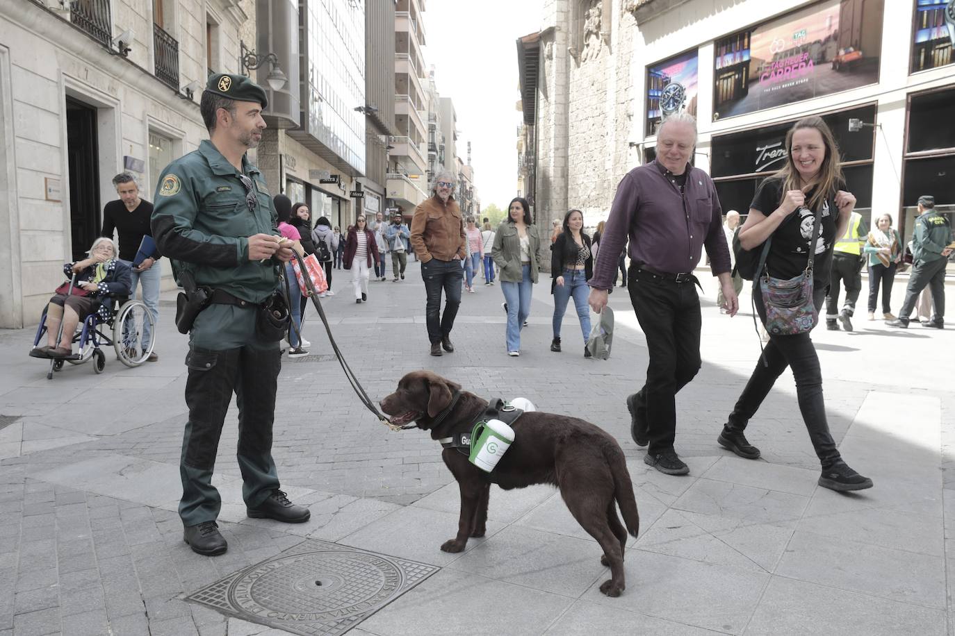 La cuestación contra el cáncer en Valladolid, en imágenes