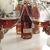 La cata de calificación de la añada 2023 de la DO Cigales, el día 16 de mayo en Palencia