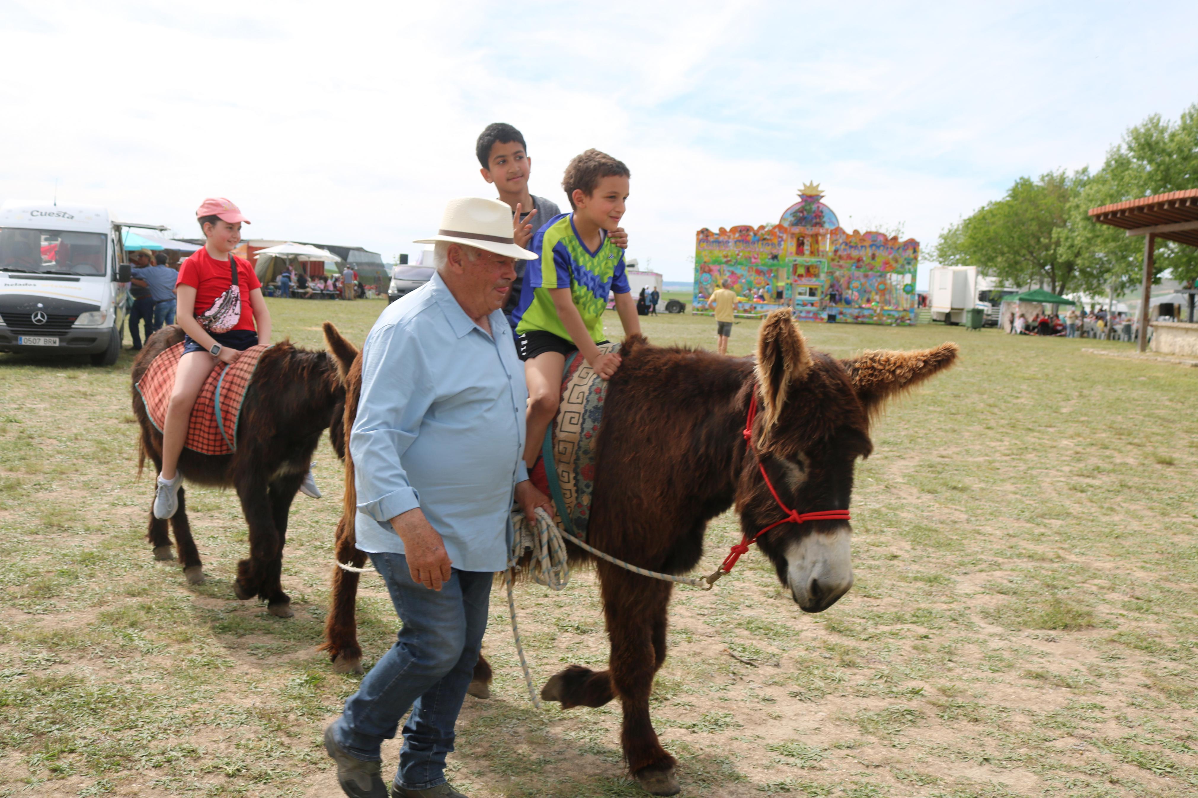 Romería en honor a San Gregorio en Baltanás