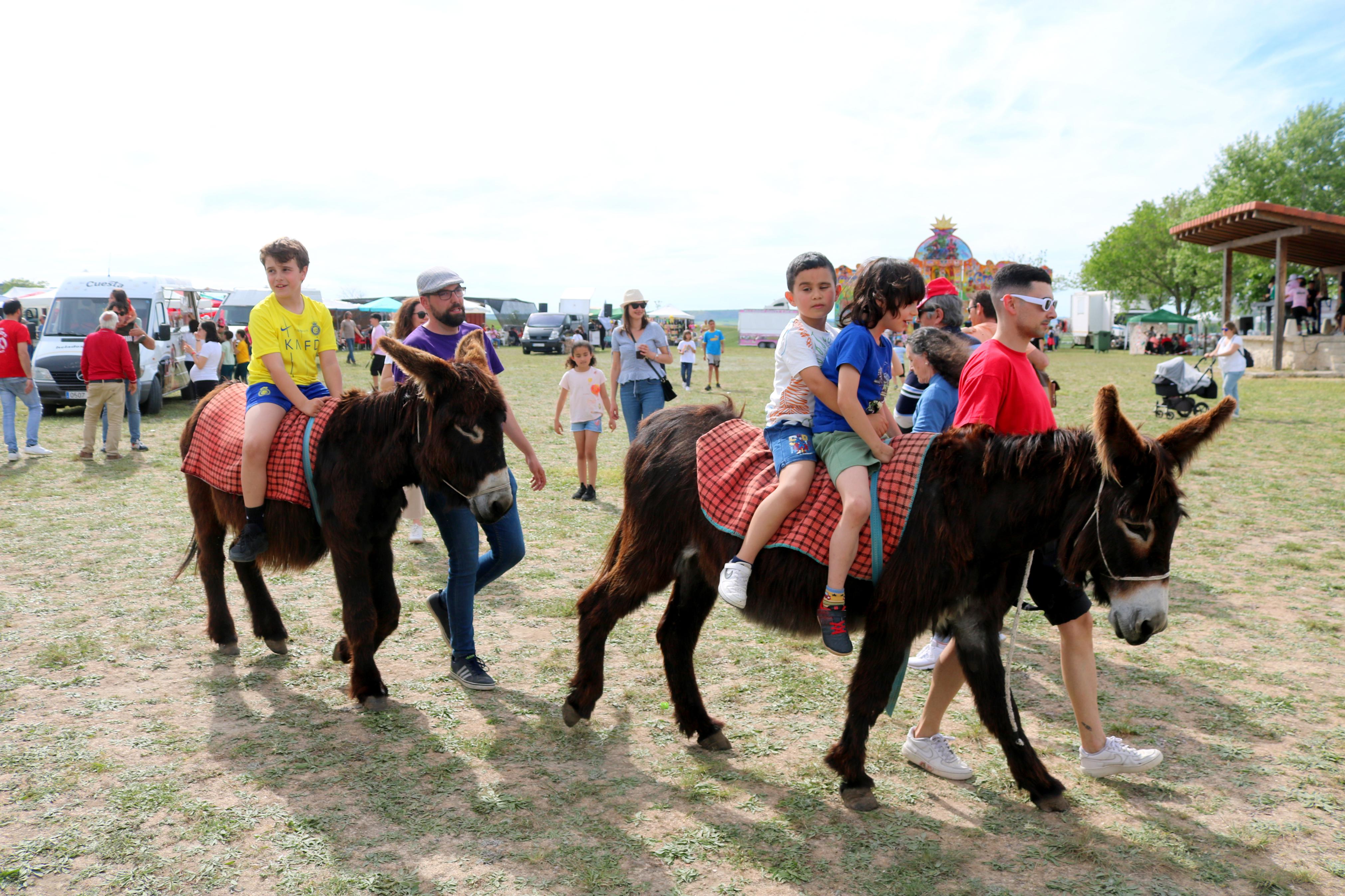 Romería en honor a San Gregorio en Baltanás