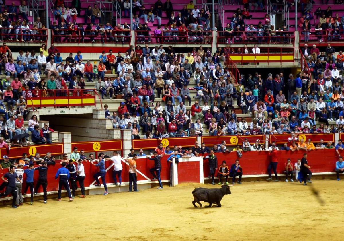 Fiestas de San Pedro Regalado en la plaza de Toros de Laguna de Duero.