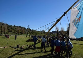 Pinada del Mayo en Velilla.