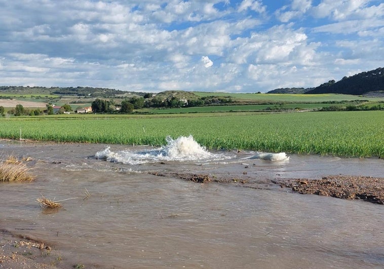 Punto donde se ha producido el reventón de la general del Canal de Riaza a su paso por Valbuena de Duero.