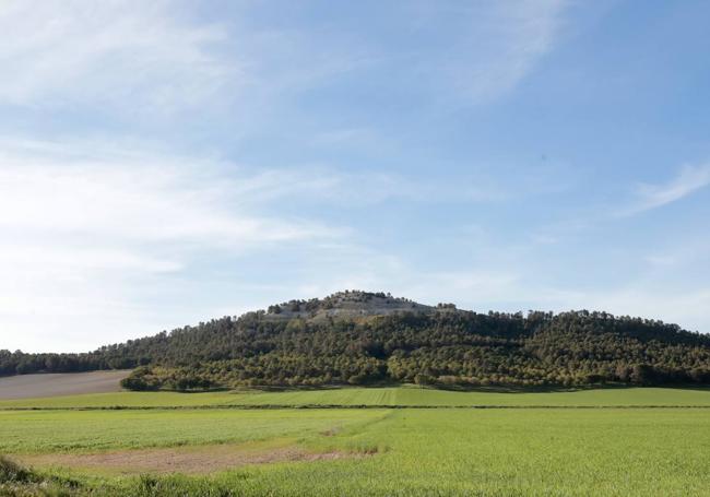 Ondulación del terreno entre Tudela y Villabáñez.