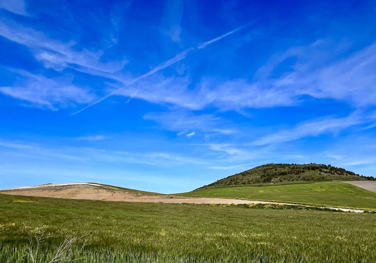 Imagen del terreno ondulado entre Tudela de Duero y Villabáñez.