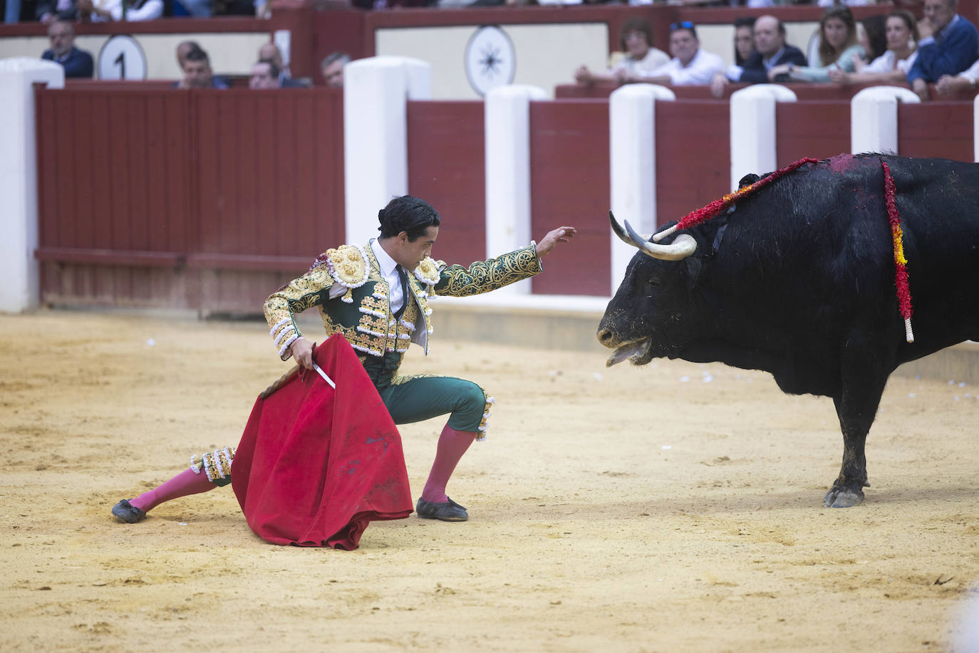 Un recorrido en imágenes de la novillada en la plaza de Toros