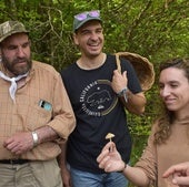 Aguilar es la comarca de España con más variedad de setas al superar el centenar