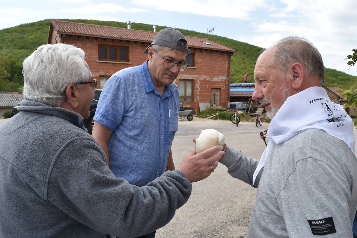 Jornadas micológicas regionales en Aguilar de Campoo