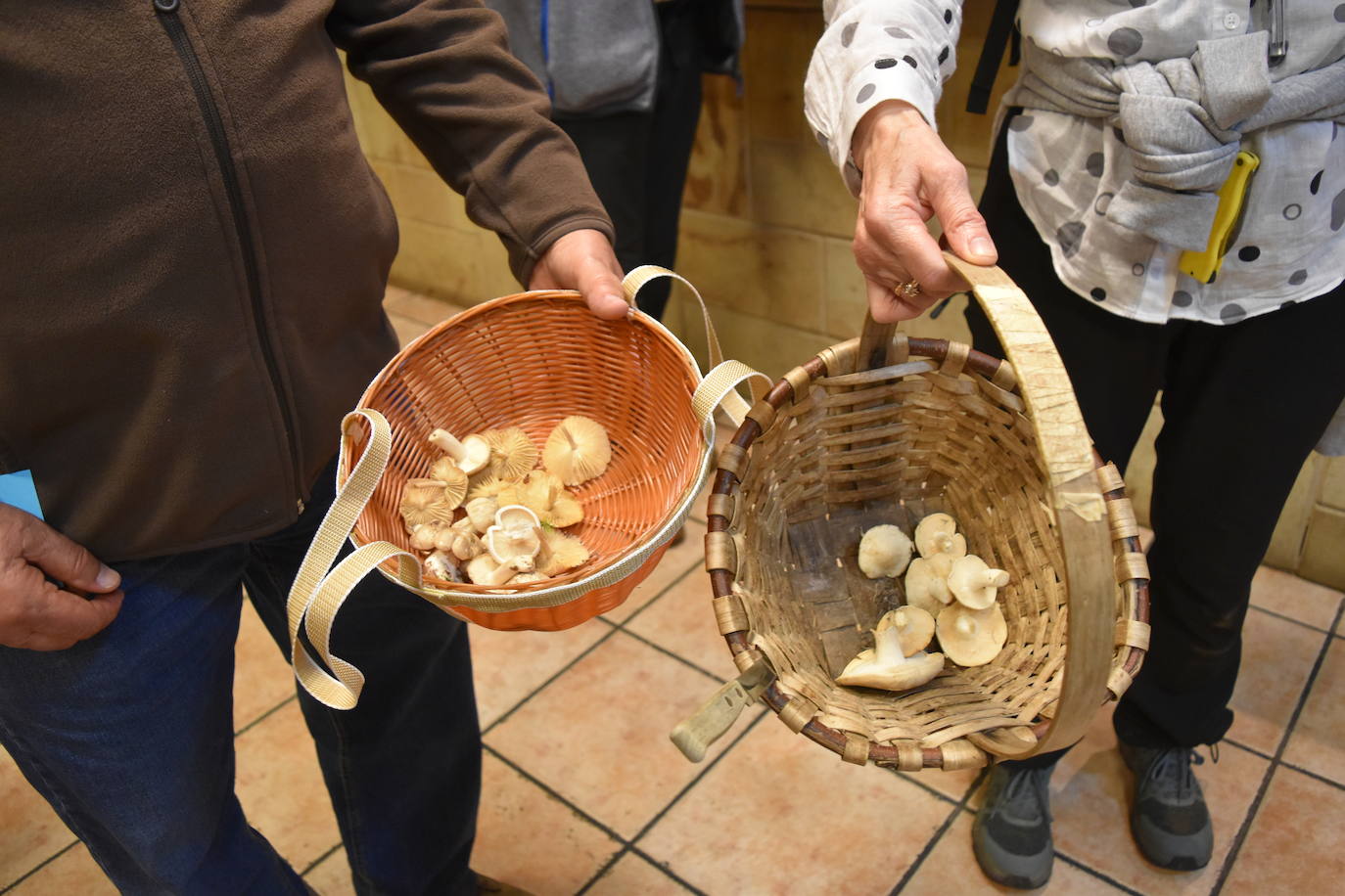 Jornadas micológicas regionales en Aguilar de Campoo