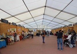 Feria del Libro de Medina del Campo