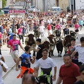 Las imágenes del encierro y la capea de Peñafiel