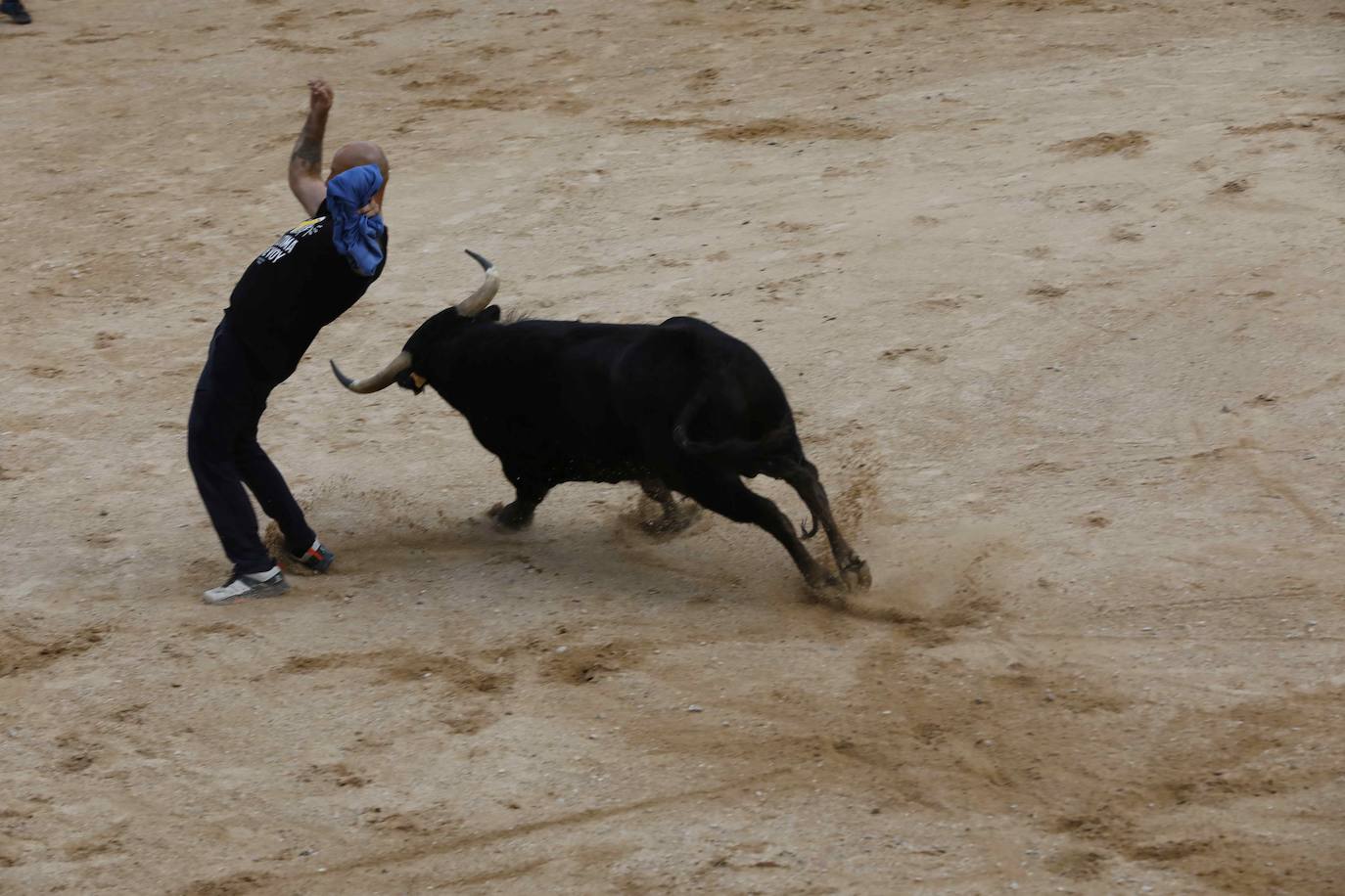 Las imágenes del encierro y la capea de Peñafiel