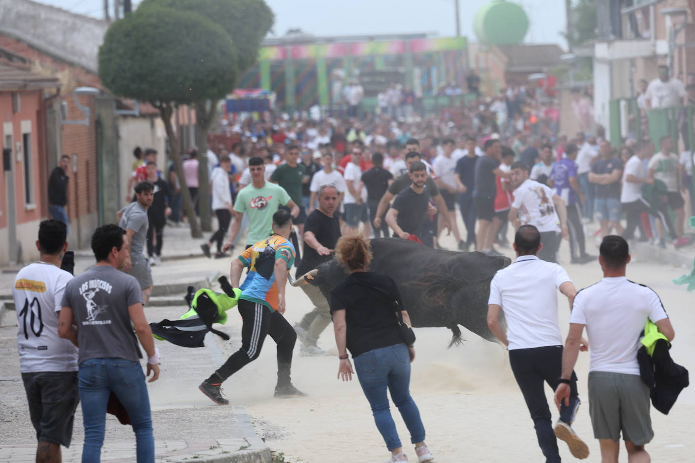 Primer encierro en Valdestillas con mucho público y ningún incidente