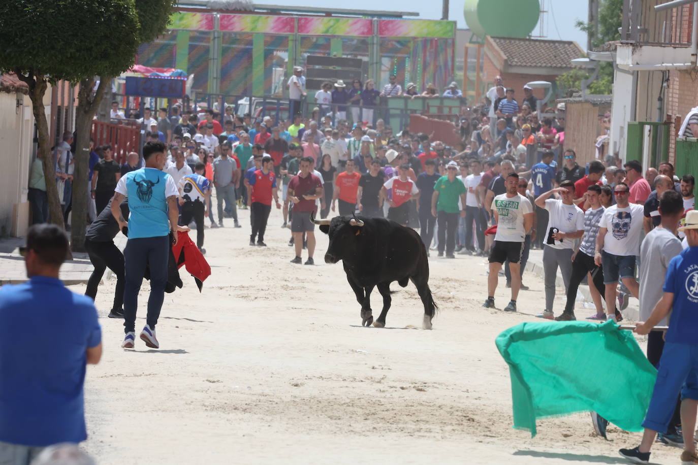 Primer encierro en Valdestillas con mucho público y ningún incidente