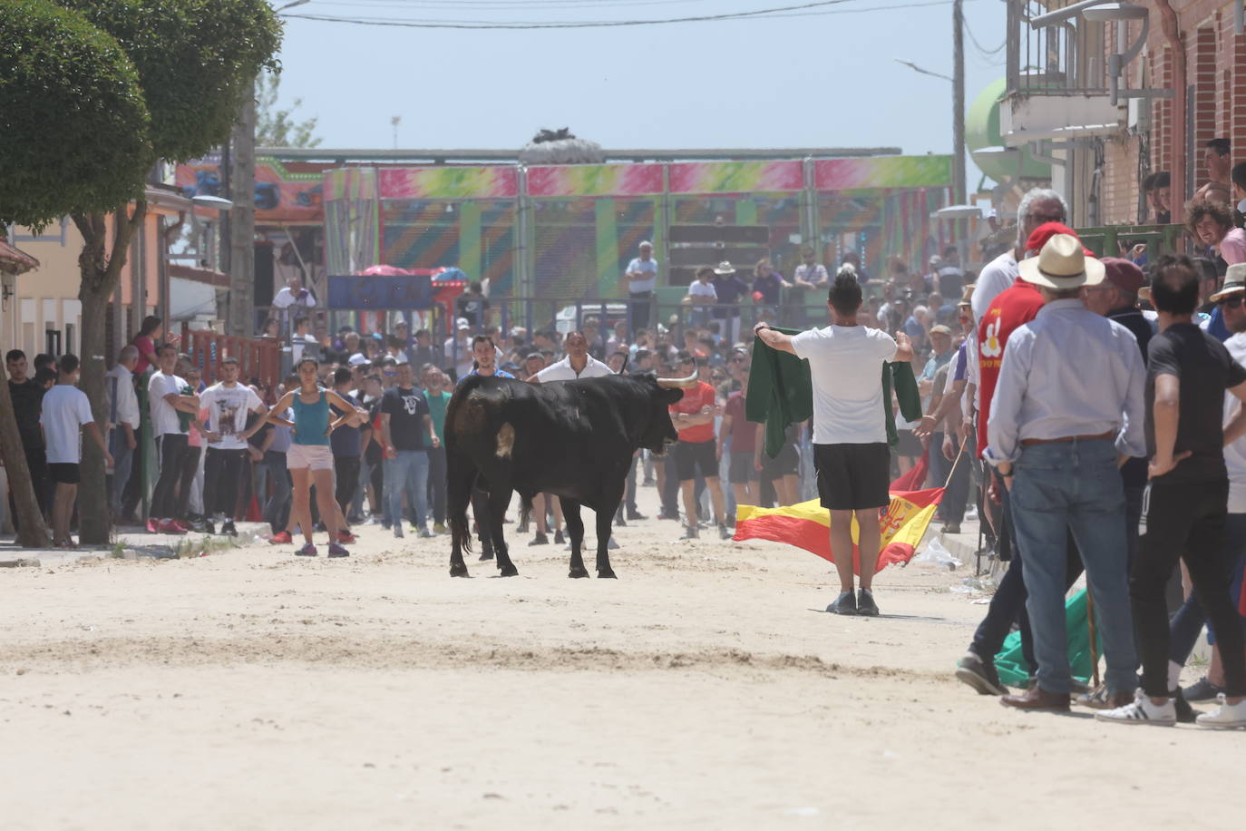 Primer encierro en Valdestillas con mucho público y ningún incidente