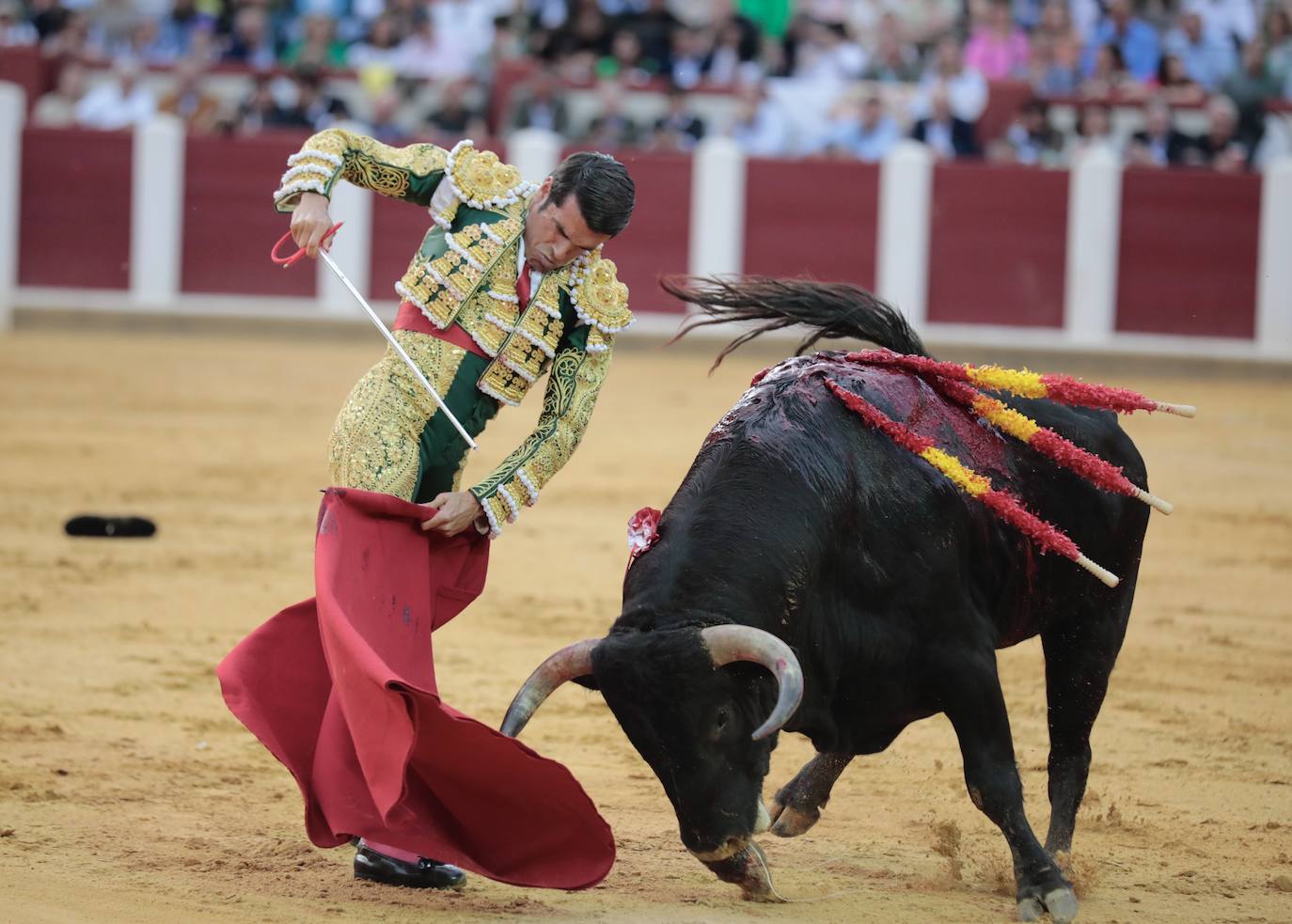 Las imágenes de la corrida de toros de San Pedro Regalado