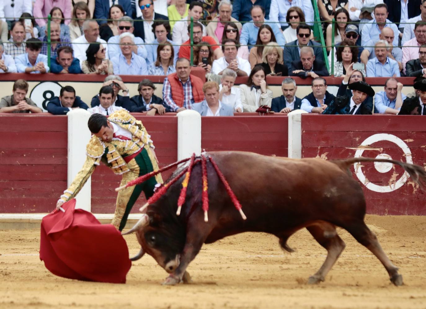 Las imágenes de la corrida de toros de San Pedro Regalado