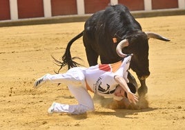 Secuencia de la cogida de Christian Peñas en el concurso de cortes de San Pedro Regalado