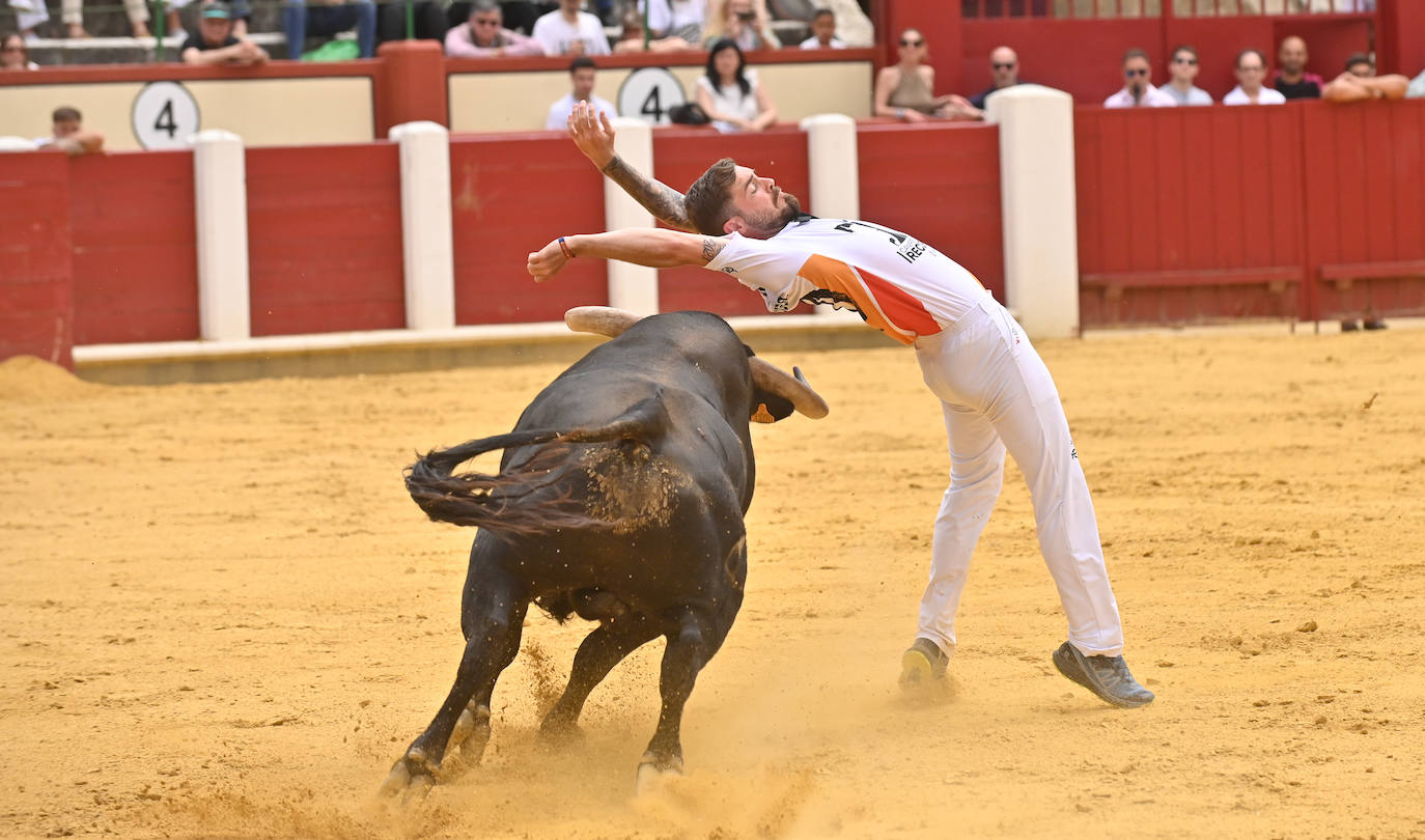 Concurso de cortes de San Pedro Regalado en Valladolid (1/2)