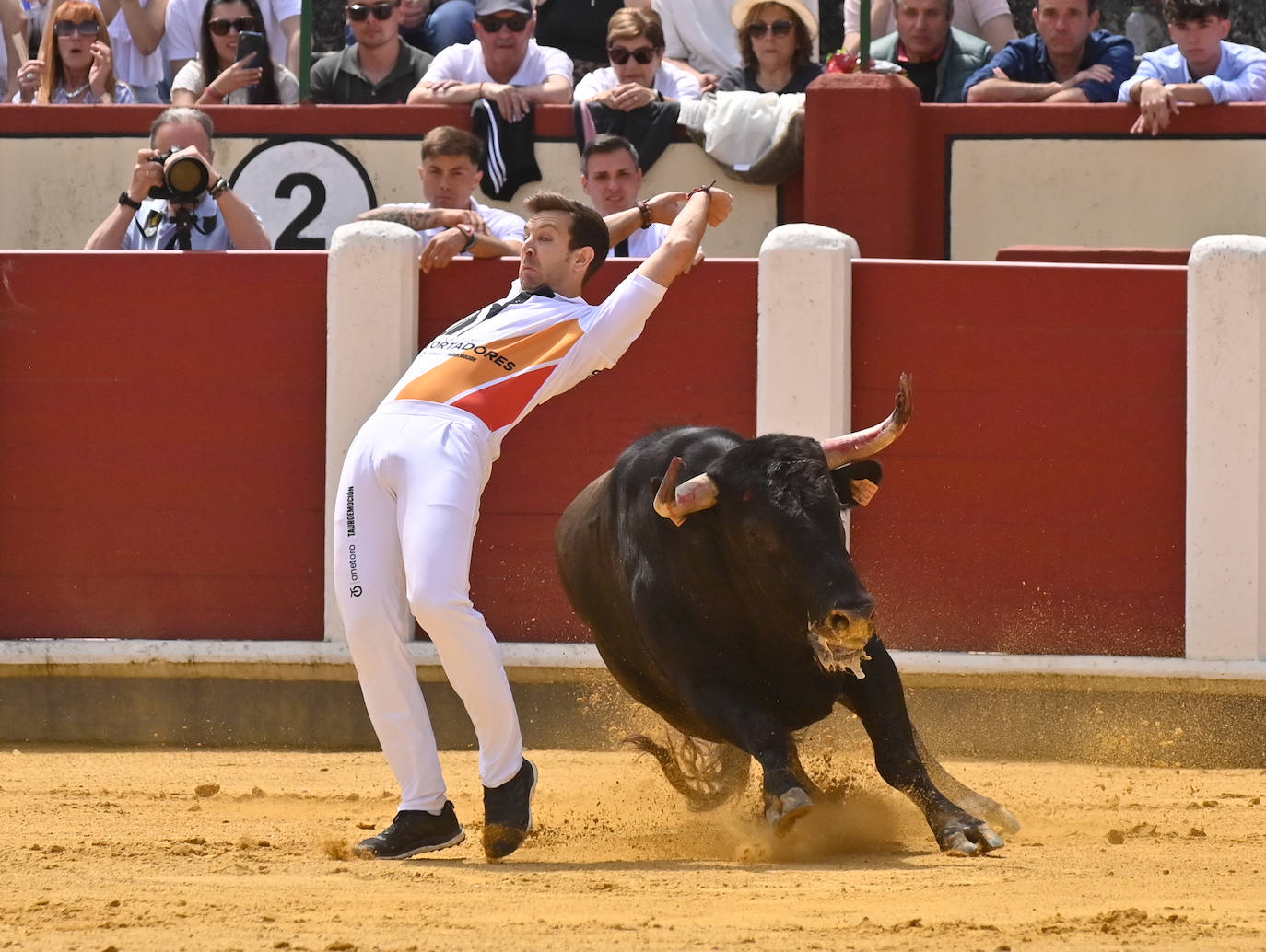 Concurso de cortes de San Pedro Regalado en Valladolid (1/2)