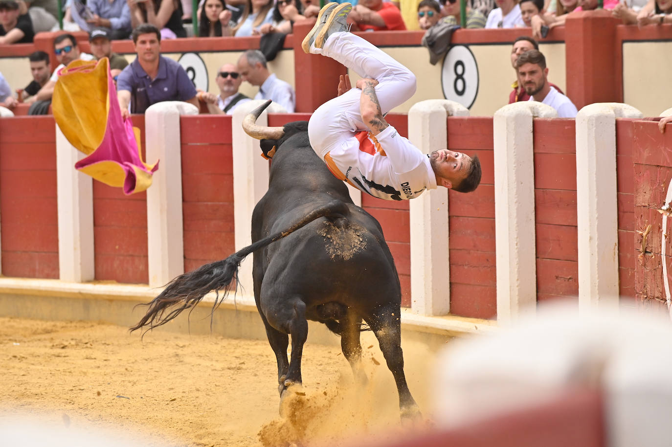 Concurso de cortes de San Pedro Regalado en Valladolid (1/2)