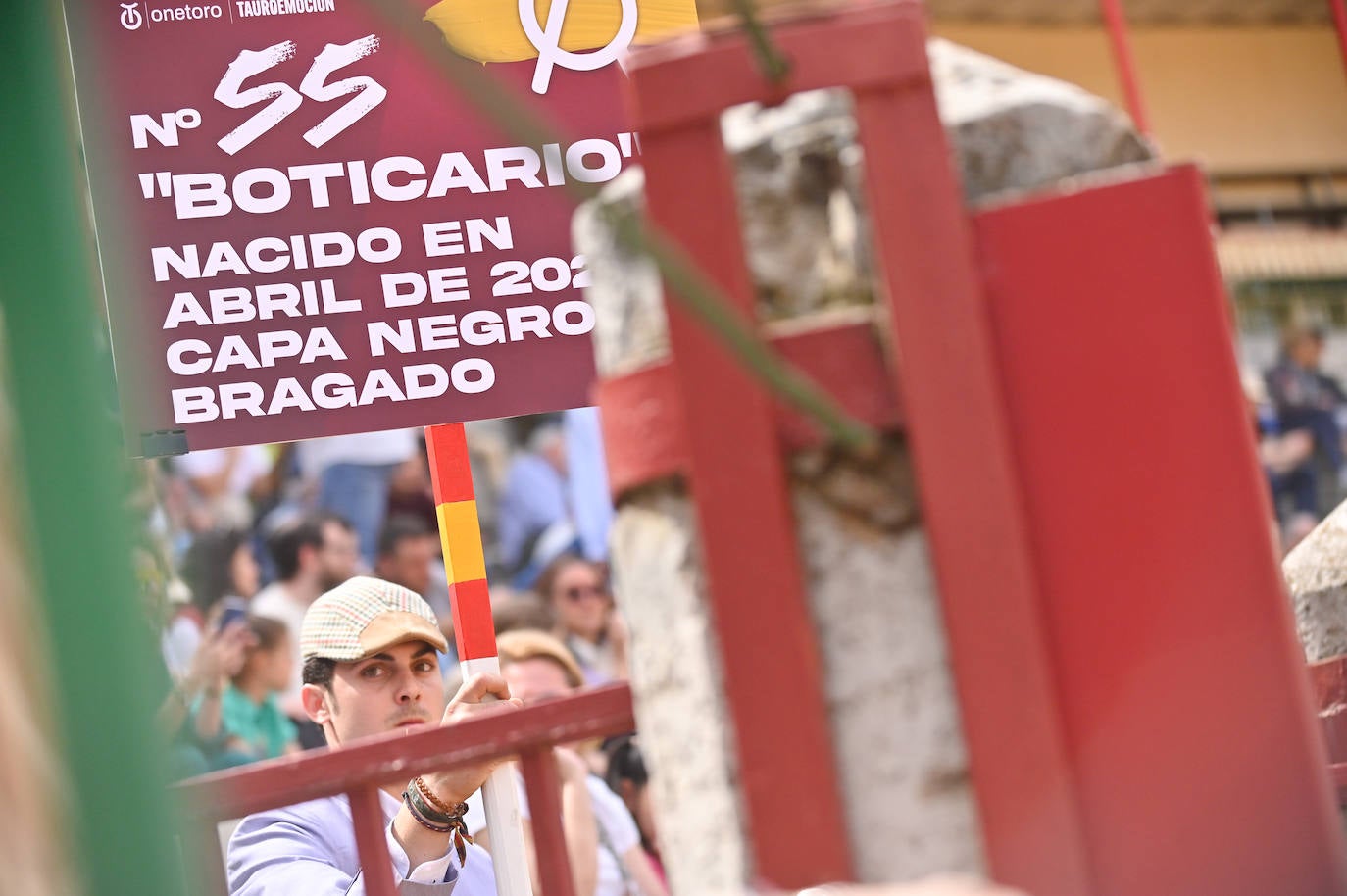 Concurso de cortes de San Pedro Regalado en Valladolid (1/2)