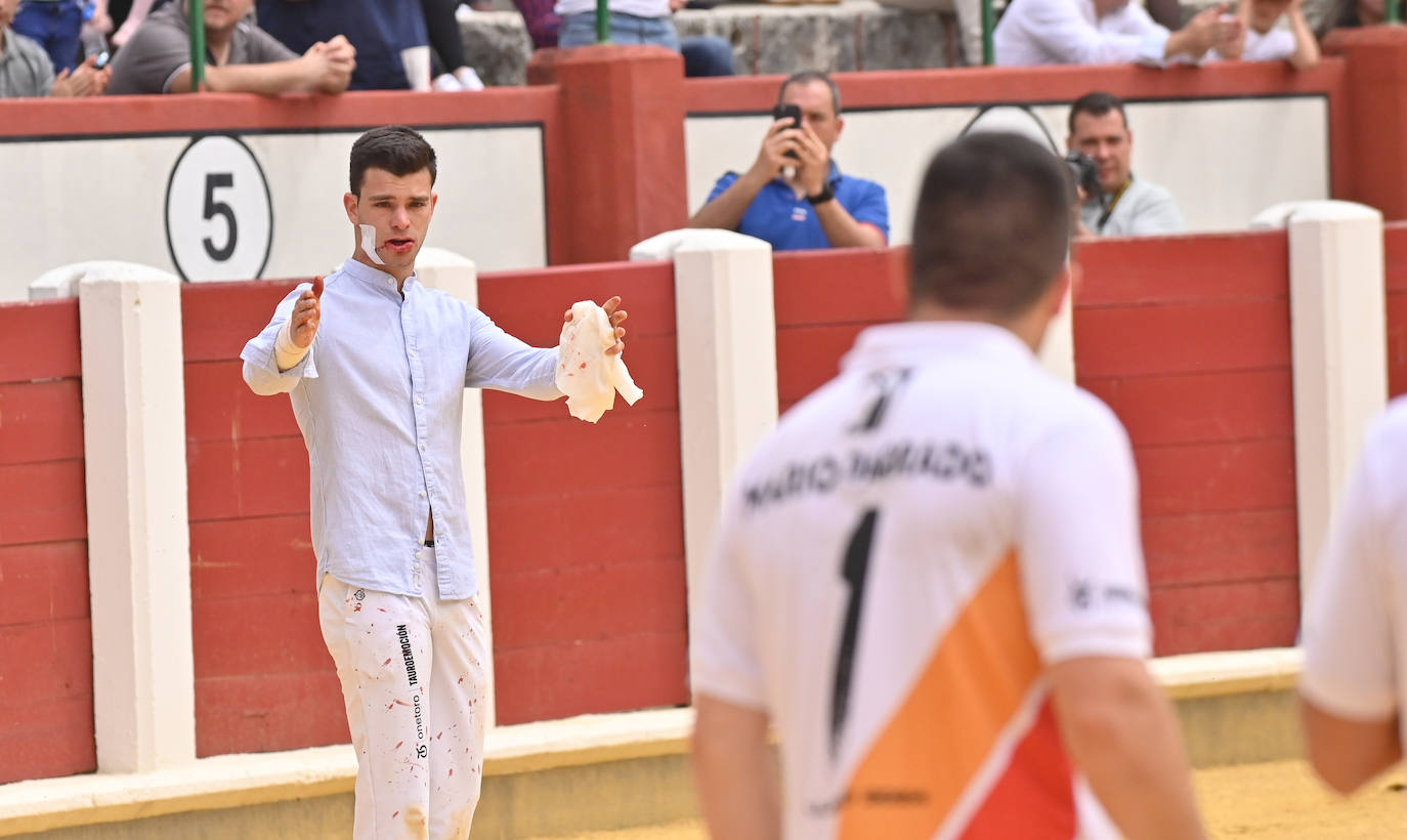 Concurso de cortes de San Pedro Regalado en Valladolid (1/2)