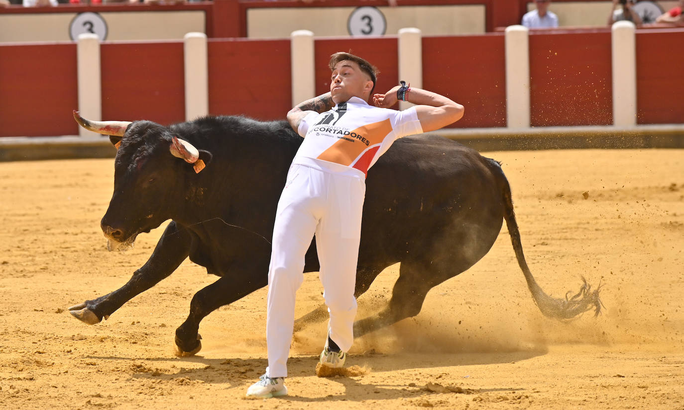 Concurso de cortes de San Pedro Regalado en Valladolid (1/2)