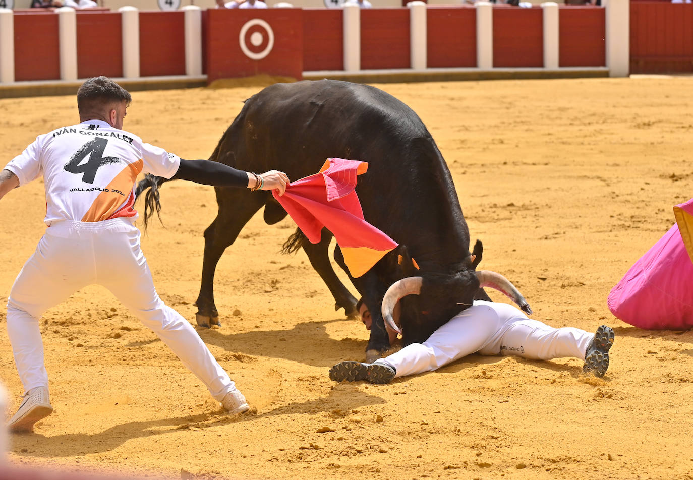 Concurso de cortes de San Pedro Regalado en Valladolid (1/2)