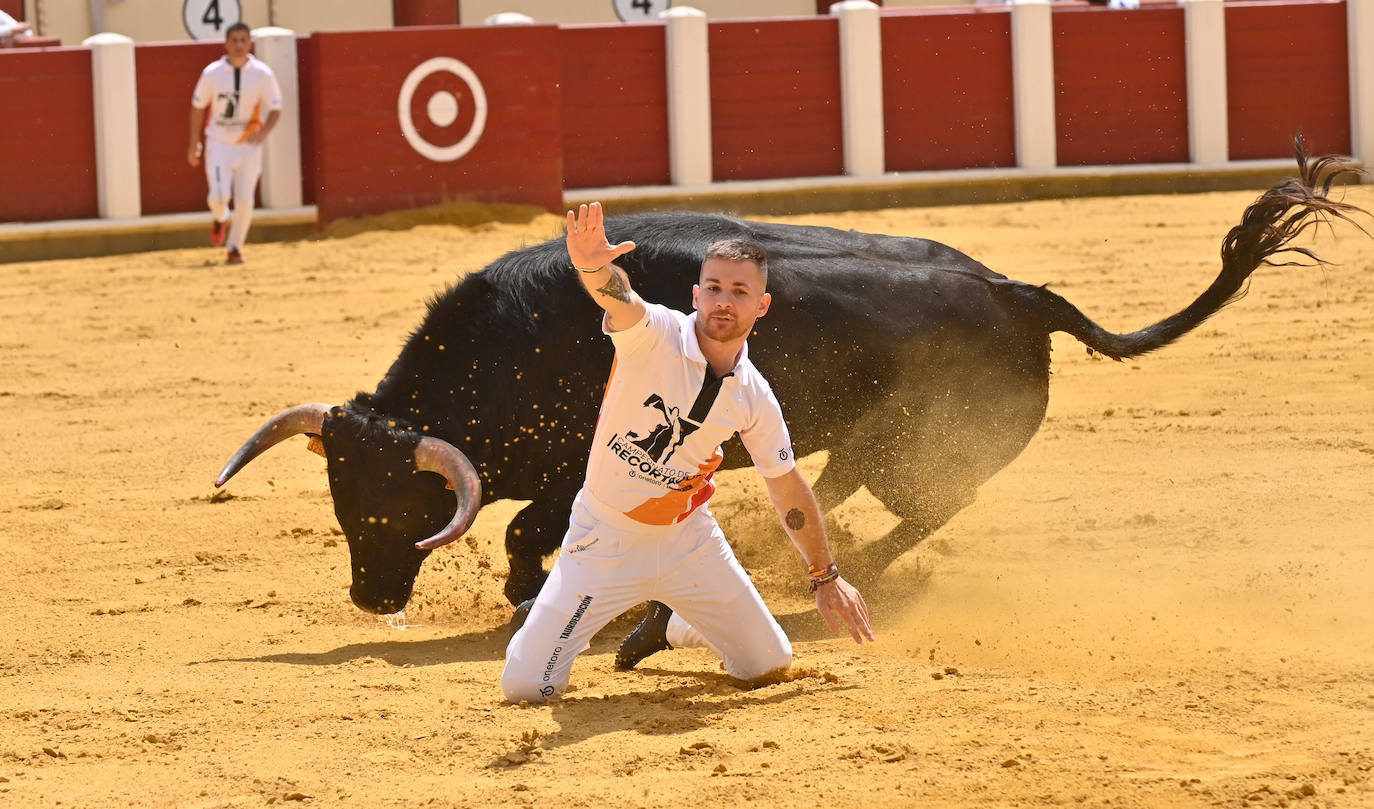 Concurso de cortes de San Pedro Regalado en Valladolid (2/2)