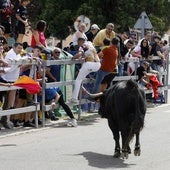 Herido por asta de toro un pastor en el encierro de Laguna