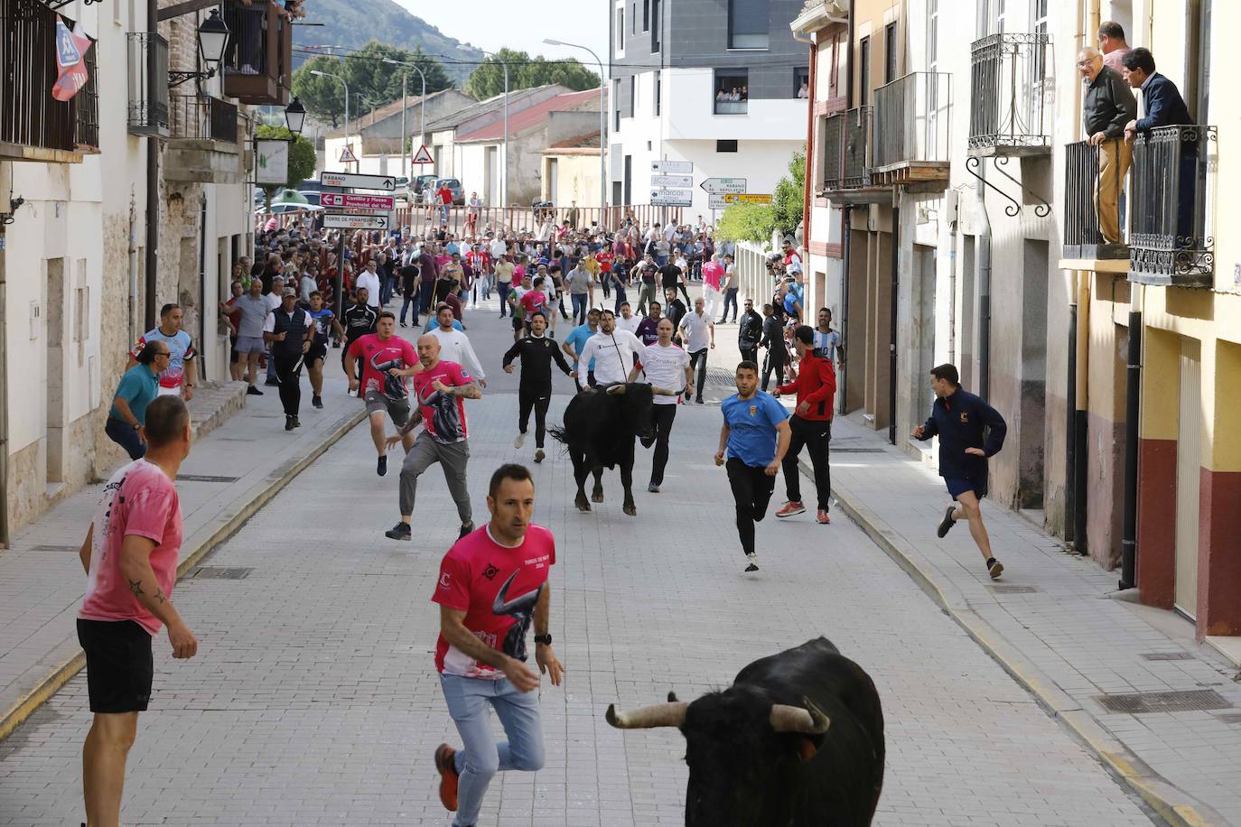 Encierro y capea del domingo por la mañana en Peñafiel