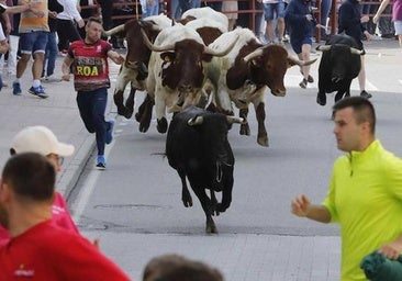 Los Toros de Mayo de Peñafiel se afianzan en el calendario festivo