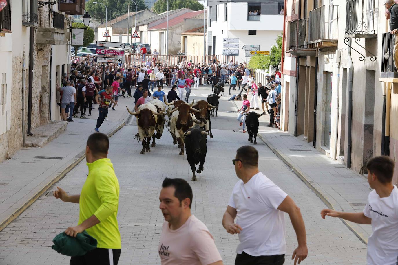 Encierro y capea del domingo por la mañana en Peñafiel