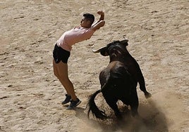 Encierro y capea del domingo por la mañana en Peñafiel