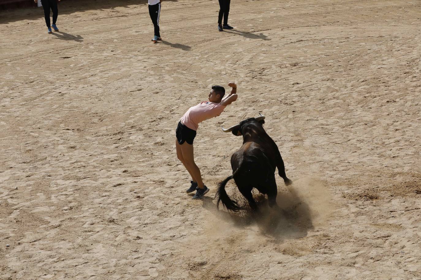 Encierro y capea del domingo por la mañana en Peñafiel